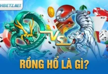 SHBET – Nền Tảng Cá Cược Trực Tuyến Hàng Đầu | Hướng Dẫn Đăng Ký Và Đăng Nhập SHBET 2024