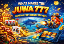 What Makes the Juwa 777 Gaming Experience Unique ?